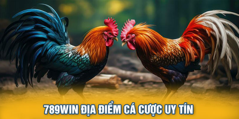 đá gà cựa sắt 789win