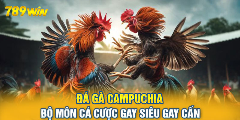 đá gà cựa sắt 789win