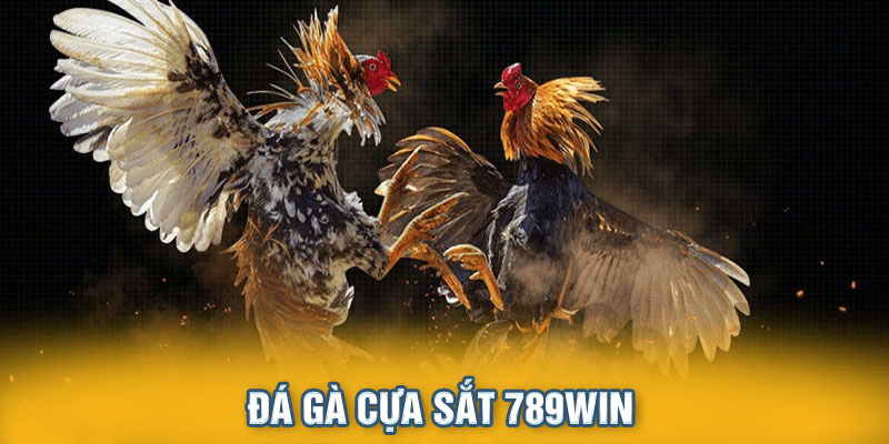 đá gà cựa sắt 789win